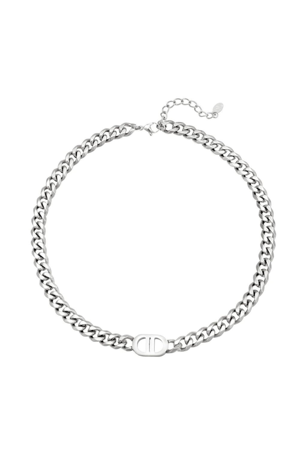 Stylish Stainless Steel Clavicle Chain Necklace