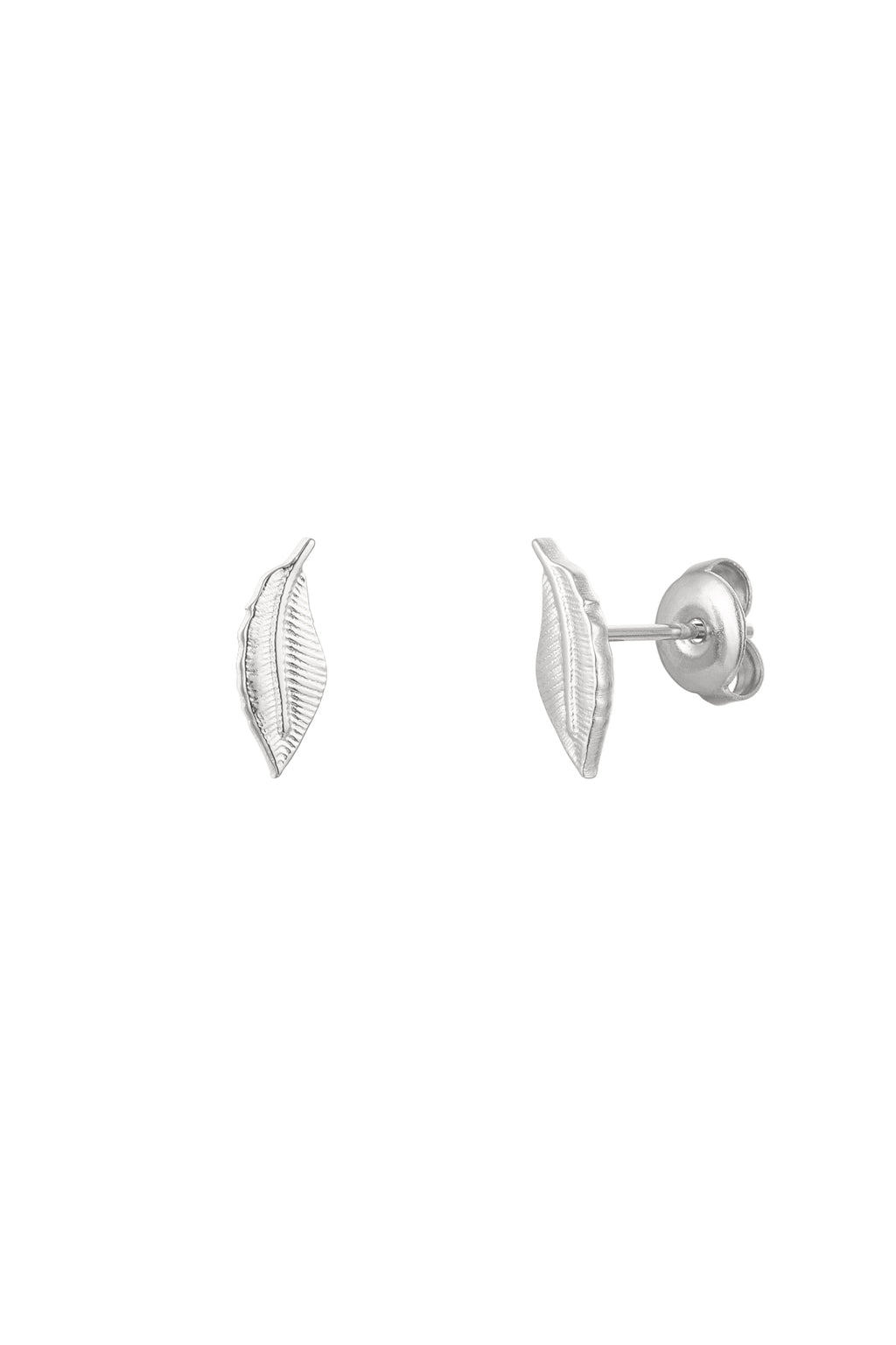 Clous d'oreilles Plume - Doré Acier Inoxydable