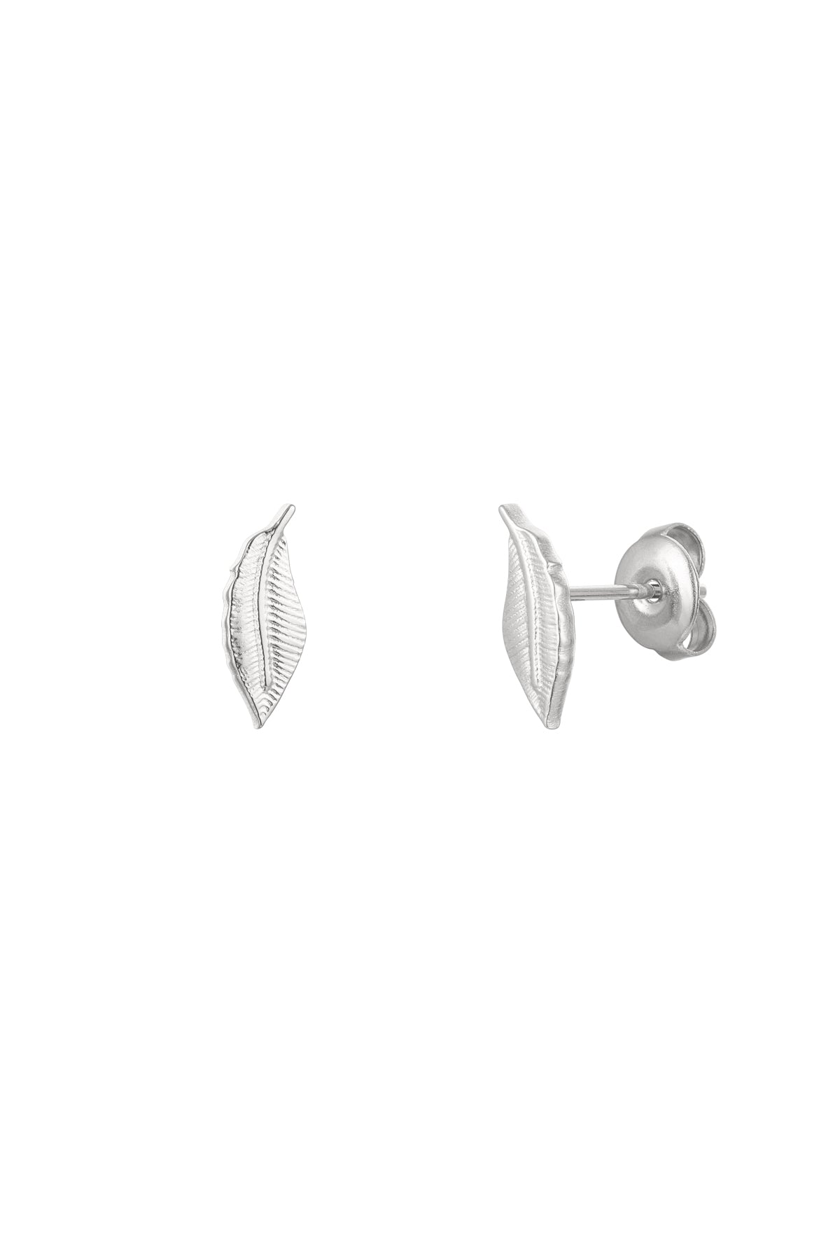 Clous d'oreilles Plume - Doré Acier Inoxydable