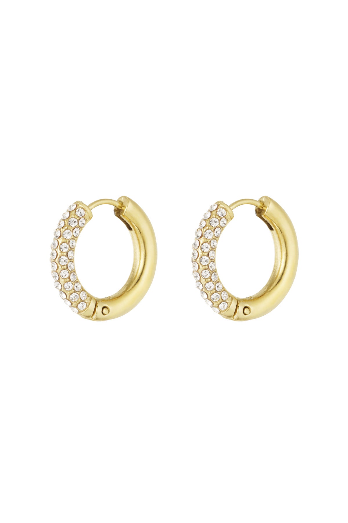 Boucles d'oreilles Shiny Rings